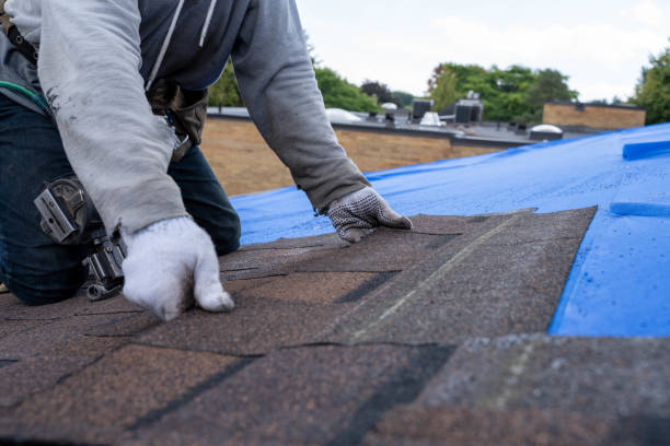 Best Roof Leak Repair  in White Hall, WV
